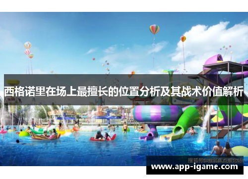 西格诺里在场上最擅长的位置分析及其战术价值解析