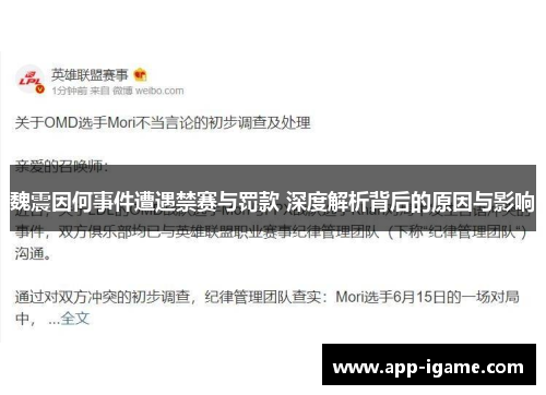 魏震因何事件遭遇禁赛与罚款 深度解析背后的原因与影响