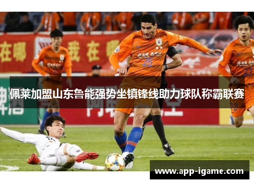 佩莱加盟山东鲁能强势坐镇锋线助力球队称霸联赛